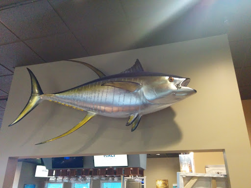 Giant Tuna Trophy