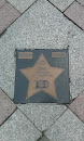 BVB Walk of Fame 49/100