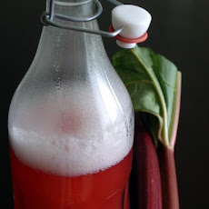 Rhubarb Cordial