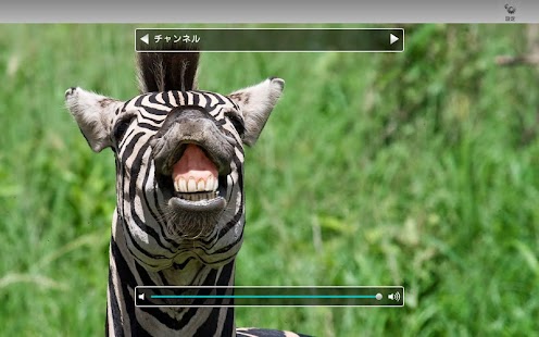How to get 地デジViewer β版 1.00 unlimited apk for bluestacks