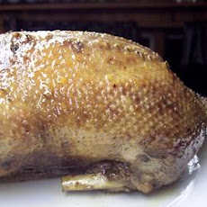 Honey Duck