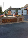 Speedwell Fire Co