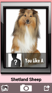 How to mod YouLikeA 1.2 mod apk for pc