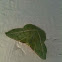 Emerald Geometer