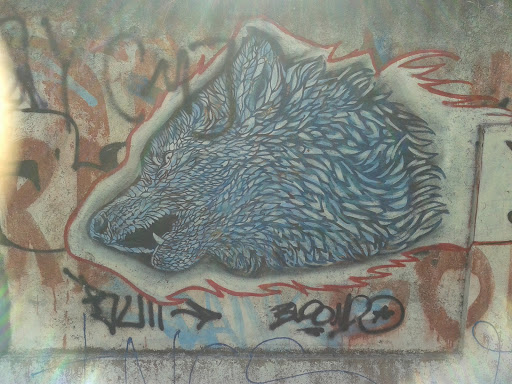 Graffiti Lobo Gris