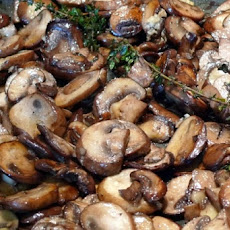 Mifgash Mushrooms