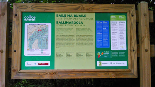 Ballinaboola & Knockduv Trailhead