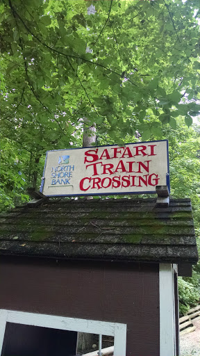 Safari Train Crossing