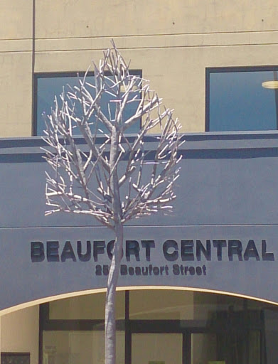 Steel Tree Beaufort Street