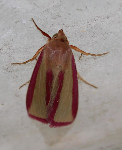 Spotting Image 1