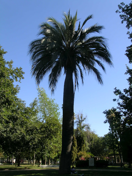 Spotting Image 1