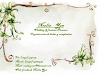 Noelia Yan  Wedding Planners