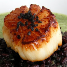 Sauteed Scallops