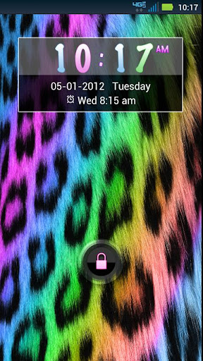 Go Locker Rainbow Cheetah