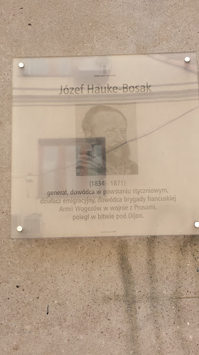 Józef Hauke Bosak