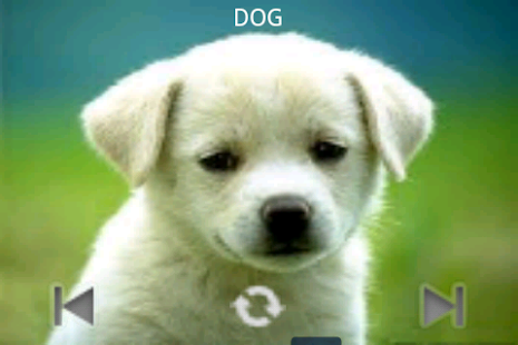 How to get Kids Zoo Animal 2.0 mod apk for android