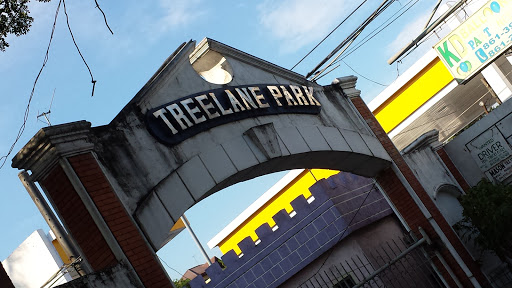 Treelane Park Arch