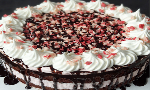 How to download Cake Recipes Christmas & more patch 1.3 apk for pc