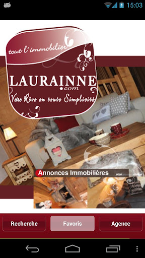 Laurainne Immobilier