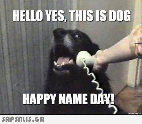 HELLO YES, THIS IS DOG HAPPY NAME DAY 
