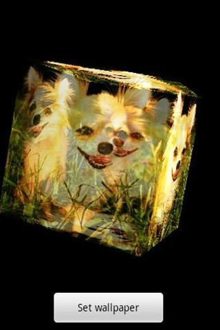 3D cute dog A-3