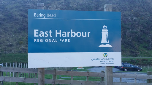 East Harbour Regional Park - Baring Head