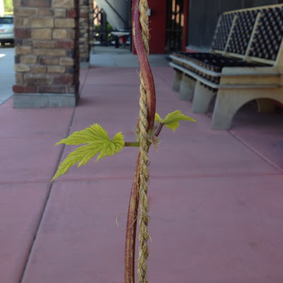 Help Image 3