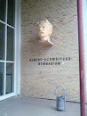 Albert-Schweitzer Gymnasium