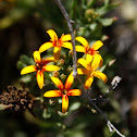 Quinchamalí