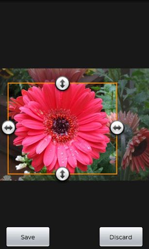 Mother's Flowers Pro Nexus 7