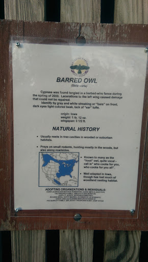 Barred Owl Exhibit At MacBride Raptor Preserve