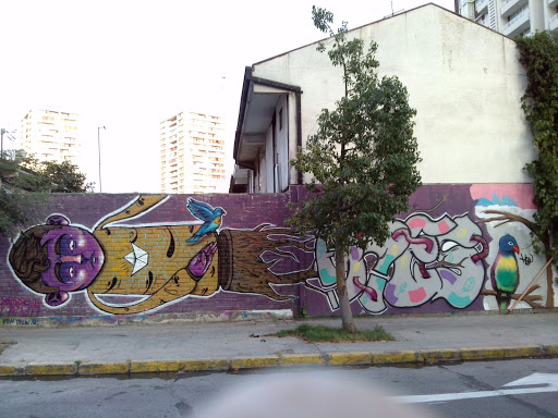 Mural Niño Y Ave