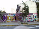 Mural Niño Y Ave
