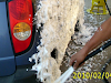 Espumadora Espuma Activa Para Autolavado