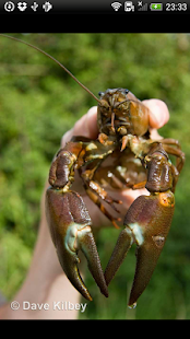 How to download AquaInvaders 1.0.3 apk for laptop