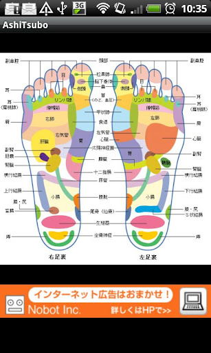 Foot Reflexology