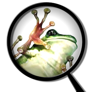 Froguts Frog Dissection.apk 2.0.0