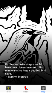 How to download Hawaiian Bird Sounds patch 1.0 apk for bluestacks