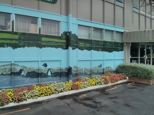 City Parks Mural Onehunga