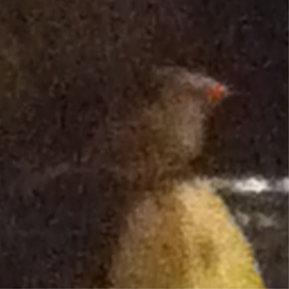 Spotting Image 1