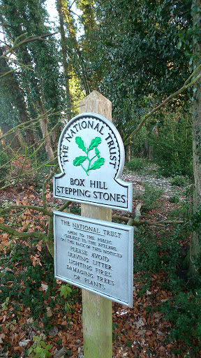 Stepping Stones (NT), Boxhill