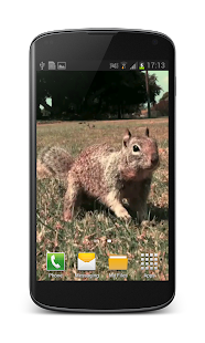 How to mod Little Squirrel 3D Wallpaper 1.4 unlimited apk for android
