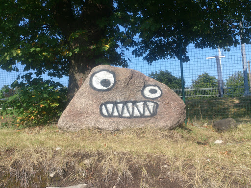 Angry Stone