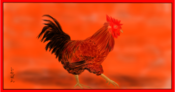 Rooster