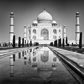 The Taj by Shekhar Kumar - Buildings & Architecture Statues & Monuments ( taj, structure, taj mahal, agra, monument, architecture )
