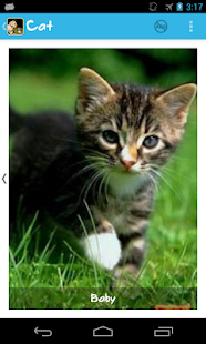 How to mod Animal Family lastet apk for android