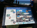 Respecting Coral Reefs 