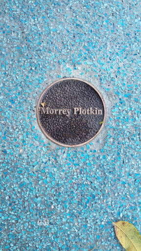 Flight Path - Morrey Plotkin