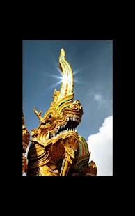 How to install Dragon City Live Wallpaper lastet apk for android