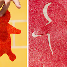 Apple and Raspberry Fruit Leather Recipe